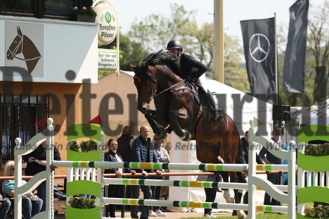 Weingarten_2023_Prfg.Nr.25_Springen_Kl.M_Clear-Round_Alexandra Langer_Zintendro (6) | Alle Fotos der Reiterjournal Fotografin Doris Matthaes im Reiterjournal Online-Fotoshop. - Realizzato con Pictrs.com