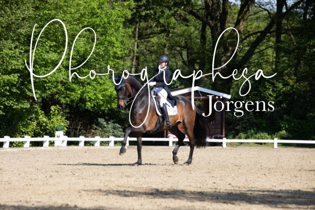 IMG_3303 | photographesa-joergens - Realisiert mit Pictrs.com