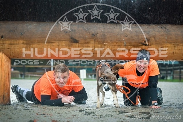 DSC_6053-SD | Hundestars - Realisiert mit Pictrs.com