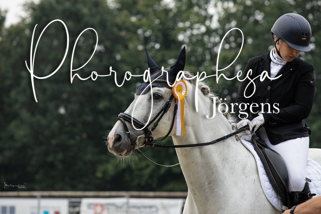 IMG_6110 | photographesa-joergens - Realisiert mit Pictrs.com