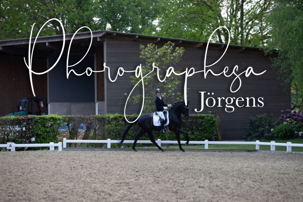 IMG_9166 | photographesa-joergens - Realisiert mit Pictrs.com