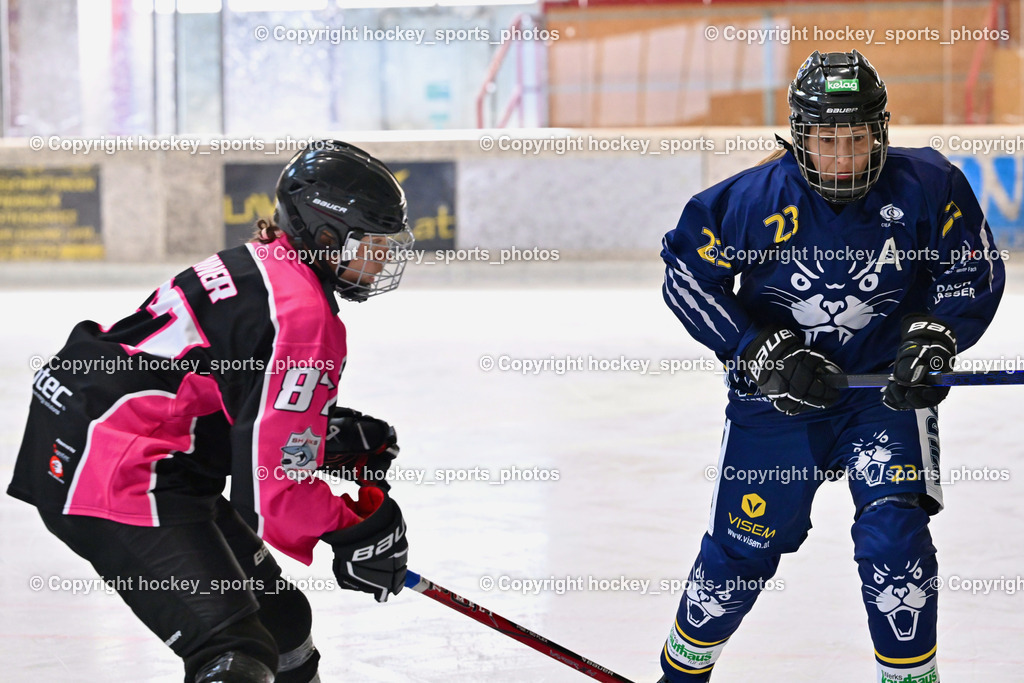 Wildcats Paternion vs. Sharkiras Gmunden | #87 Ressler Melanie, #23 Stuppnig Iris, Wildcats Paternion vs. Sharkiras Gmunden, Wildcats Paternion vs. Sharkiras Gmunden am 25.10.2025 in Spittal an der Drau (Eissportzentrum Spittal), Austria, (Photo by Bernd Stefan)
