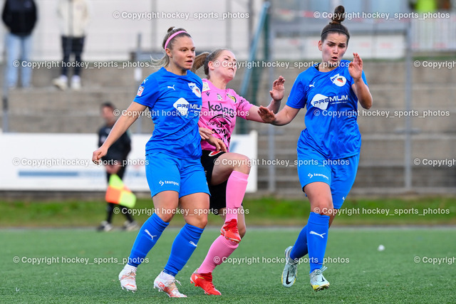 Liwodruck Carinthians Hornets vs. Union Geretsberg 6.11.2022 | #3 Sara Rausch, #8 Lena Thalmann, #15 Michelle Felber