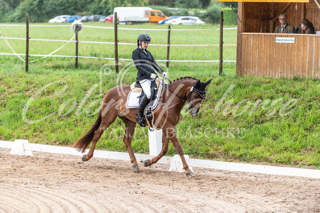 TBL_5168 | Turnierfotos von Reitturnieren in den Landkreisen Biberach, Ravensburg und in ganz Oberschwaben - von Tanja Bläschke - Colorsofahorse - Realisiert mit Pictrs.com