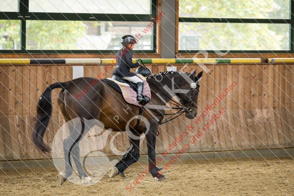 IMG_5339 | Hier findest Du viele Augenblicke aus den Bereichen der Turnier-, Sport- & Tierfotografie. Bilder mit deinem Liebling, Portrait-, Bewerbungs-, Businessbilder können ebenfalls schnell und einfach erstellt werden.