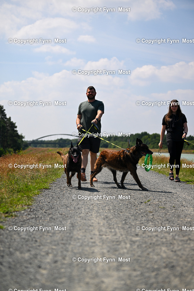 DSC_2402 | Hallo und herzlich Willkommen auf meiner Shop-Seite Fynn Most.

Ich wünsche Dir viel Spaß beim stöbern durch die Bilder, wenn Du Fragen hast oder Bilder vermisst, kannst du mir gerne eine Nachricht schreiben. - Realisiert mit Pictrs.com