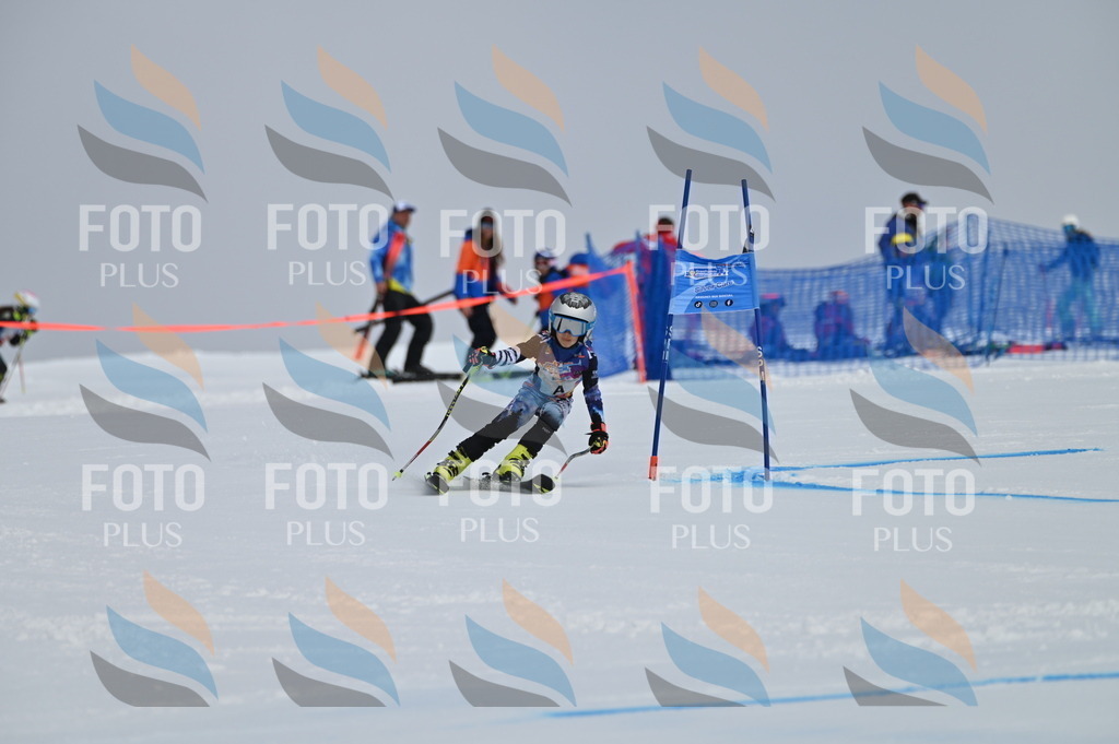 BGV_8961 | holidayphoto