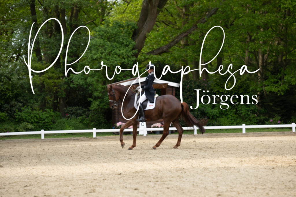 IMG_2750 | photographesa-joergens - Realisiert mit Pictrs.com