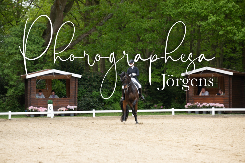 IMG_2529 | photographesa-joergens - Realisiert mit Pictrs.com