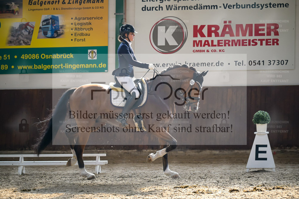 Reitturnier Voxtrup | Bilder aus dem Reitsport by Foto Oger - Domenic Schlinge - Realisiert mit Pictrs.com