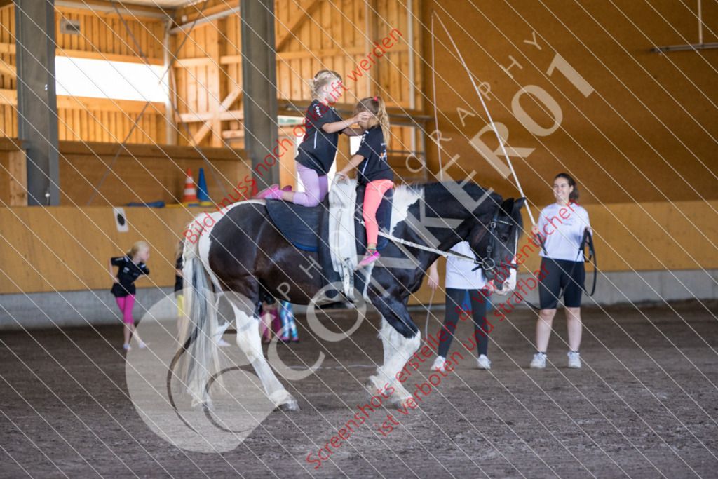 IMG_1886 | Hier findest Du viele Augenblicke aus den Bereichen der Turnier-, Sport- & Tierfotografie. Bilder mit deinem Liebling, Portrait-, Bewerbungs-, Businessbilder können ebenfalls schnell und einfach erstellt werden.