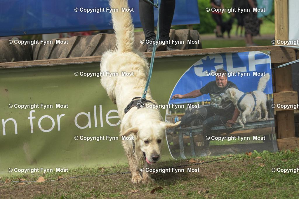 DSC_0669 | Hallo und herzlich Willkommen auf meiner Shop-Seite Fynn Most.

Ich wünsche Dir viel Spaß beim stöbern durch die Bilder, wenn Du Fragen hast oder Bilder vermisst, kannst du mir gerne eine Nachricht schreiben. - Realisiert mit Pictrs.com