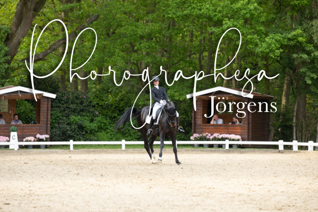IMG_2988 | photographesa-joergens - Realisiert mit Pictrs.com