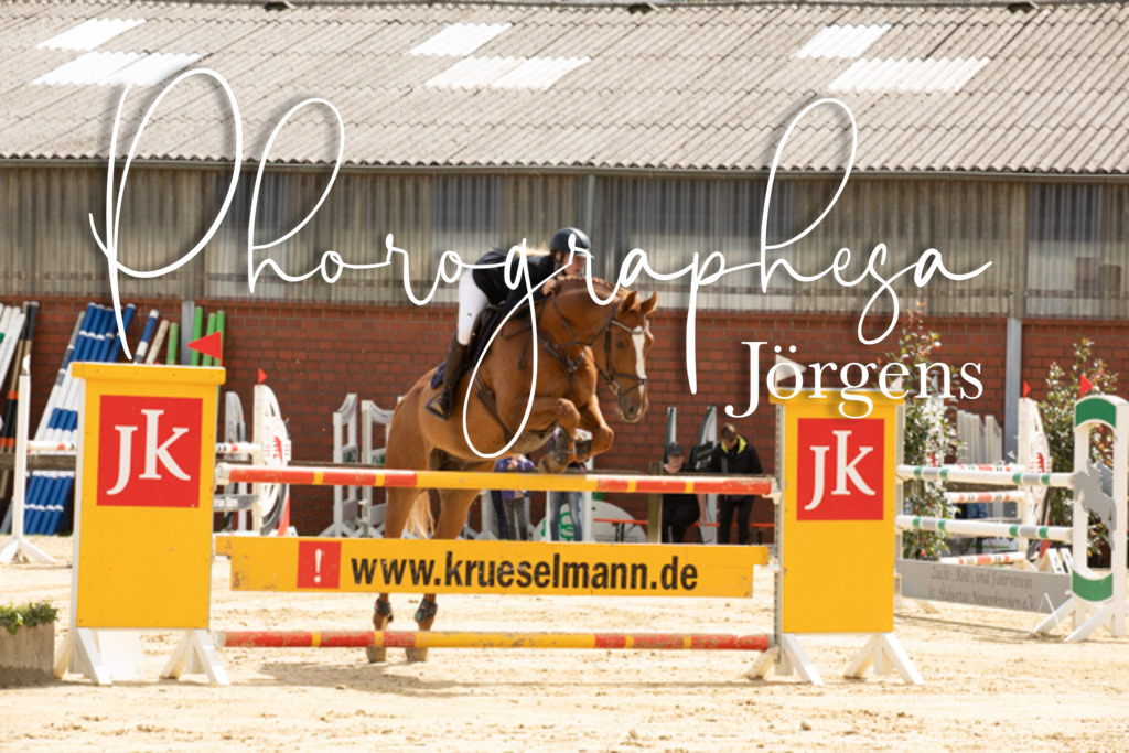 IMG_7767 | photographesa-joergens - Realisiert mit Pictrs.com