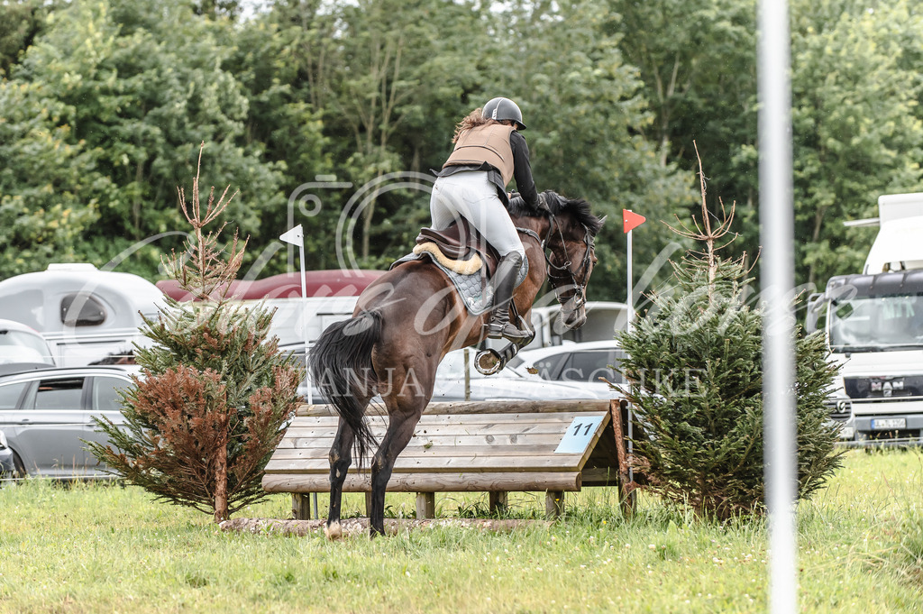 TBL_0837 | Turnierfotos von Reitturnieren in den Landkreisen Biberach, Ravensburg und in ganz Oberschwaben - von Tanja Bläschke - Colorsofahorse - Realisiert mit Pictrs.com