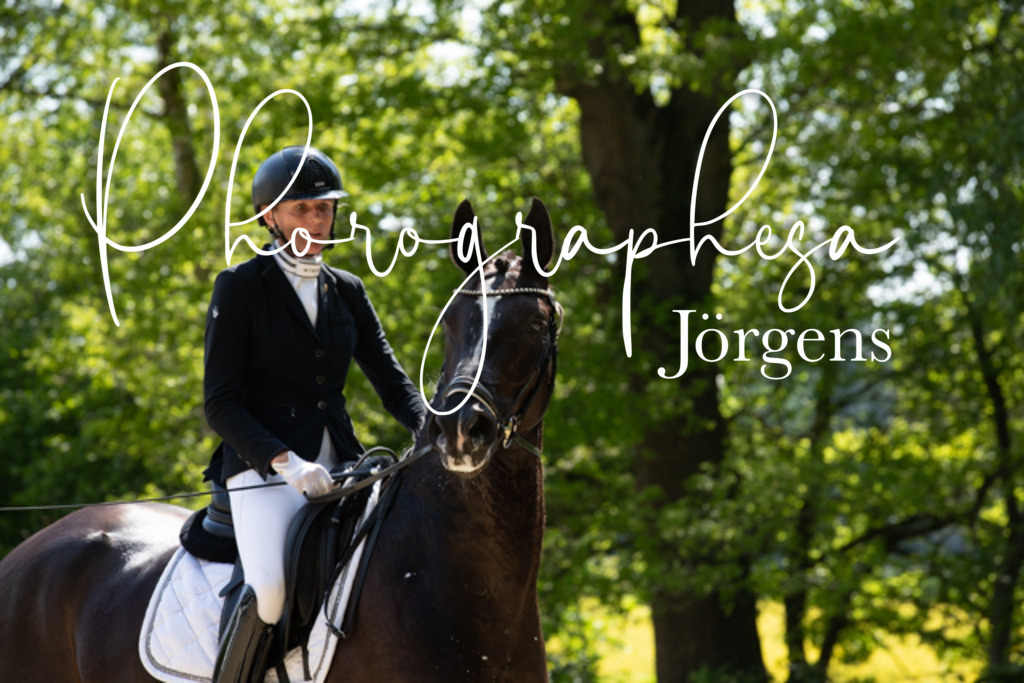 IMG_6044 | photographesa-joergens - Realisiert mit Pictrs.com
