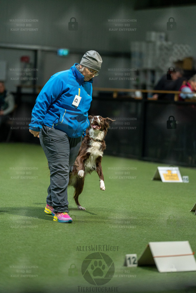 7IV01086 | Professionelle Tierfotografie in Mönchengladbach von Daniel Wirth (allesWIRTHgut). Liebevolle & natürliche Bilder von Hunden & Katzen für unvergessliche Erinnerungen.