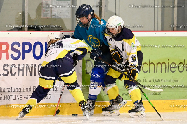 BST_6451 | hockey sports photos, Pressefotos, Sportfotos, hockey247, win 2day icehockeyleague, Handball Austria, Floorball Austria, ÖVV, Kärntner Eishockeyverband, KEHV, KFV, Kärntner Fussballverband, Österreichischer Volleyballverband, Alps Hockey League, ÖFB, 