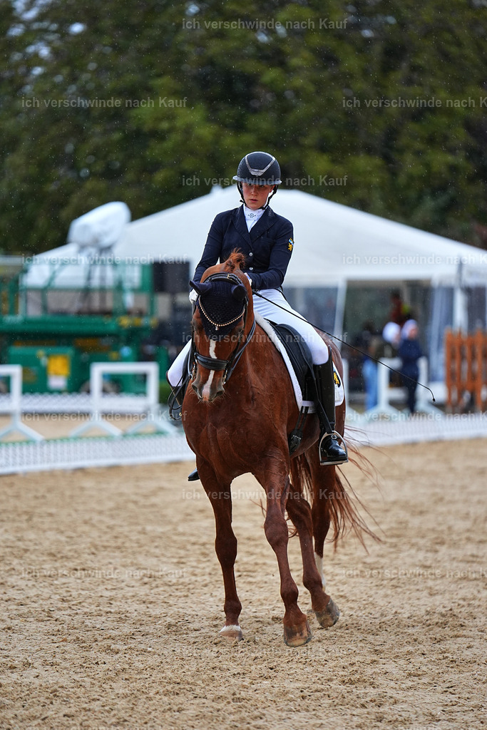 8_1-223-Klasse S_  -Marixx-4290 | working equitationturnier fotograf videograf stoibphotography marixx film working equitation deutschland reitsport turnierfotografie eventfotografie equestrian events