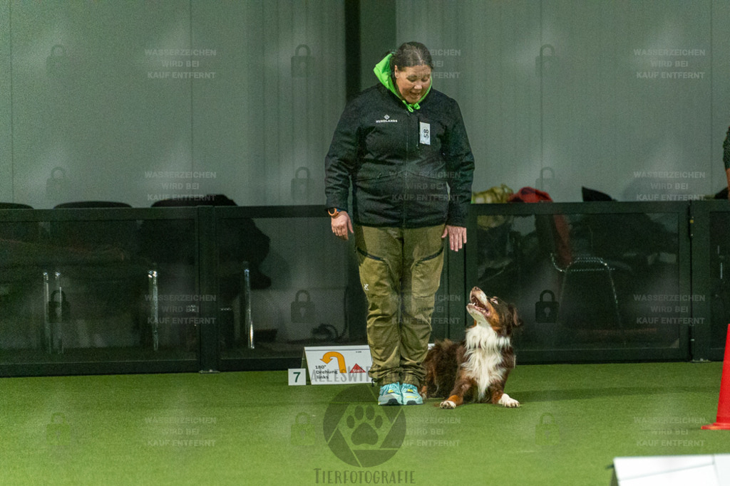 7IV01392 | Professionelle Tierfotografie in Mönchengladbach von Daniel Wirth (allesWIRTHgut). Liebevolle & natürliche Bilder von Hunden & Katzen für unvergessliche Erinnerungen.