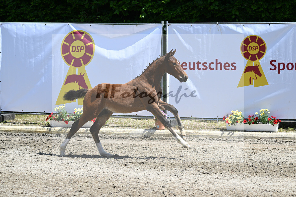 Kat-Nr. 35 HF Million Dollar_Mueller_12230897 | hf-fotografie - Realisiert mit Pictrs.com