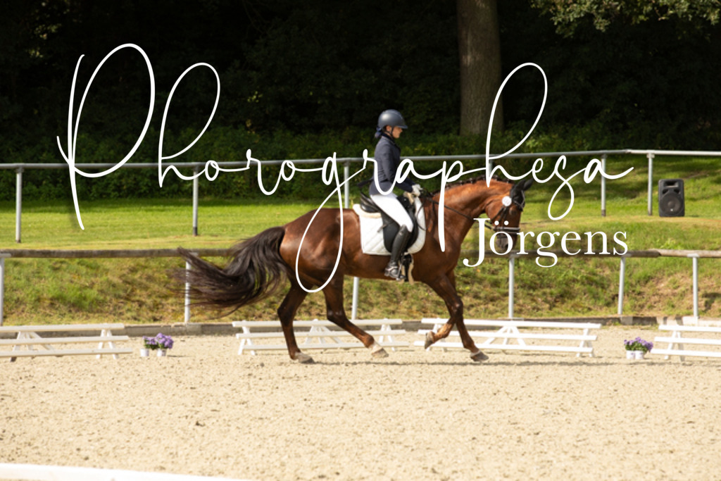 IMG_7983 | photographesa-joergens - Realisiert mit Pictrs.com