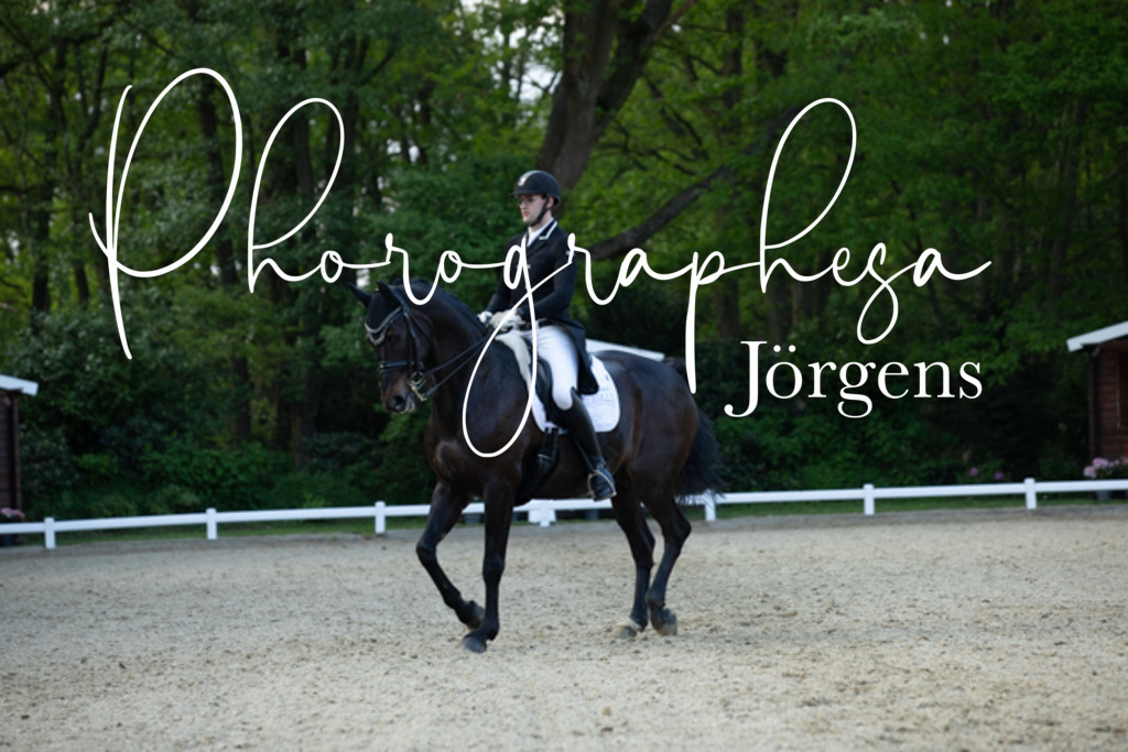 IMG_9373 | photographesa-joergens - Realisiert mit Pictrs.com