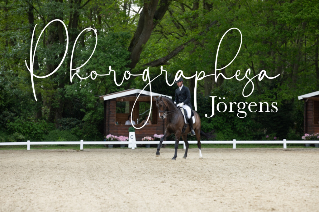 IMG_8500 | photographesa-joergens - Realisiert mit Pictrs.com