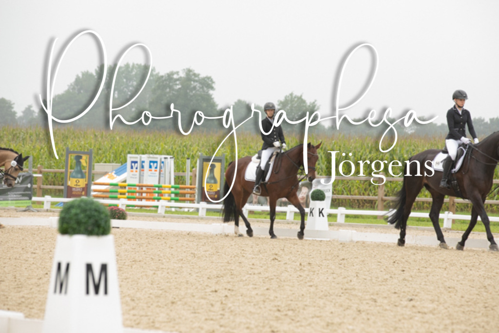 IMG_1154 | photographesa-joergens - Realisiert mit Pictrs.com