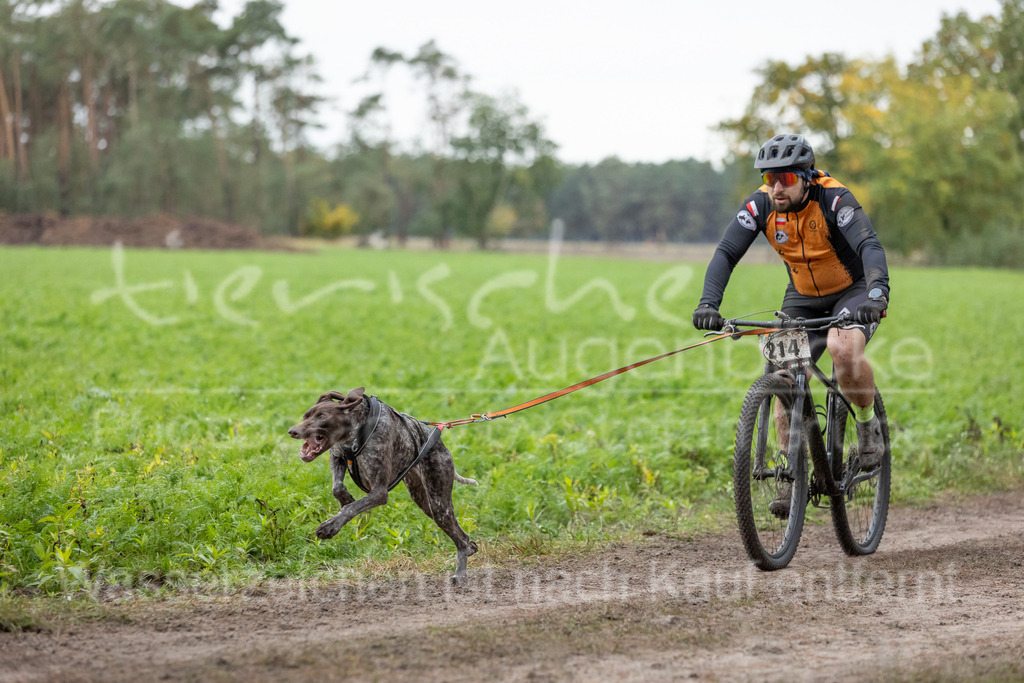 CJ8A9119 | Herzlich Willkommen im Onlineshop von tierische Augenblicke.
Viel Spaß beim aussuchen ihrer Bilder und vielen Dank für ihren Einkauf.
Viele Grüße, ihr Fotograf Stefan Grube