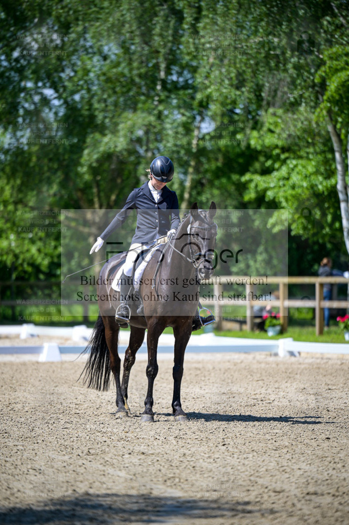 Reitturnier Lienen | Bilder aus dem Reitsport by Foto Oger - Domenic Schlinge - Realisiert mit Pictrs.com