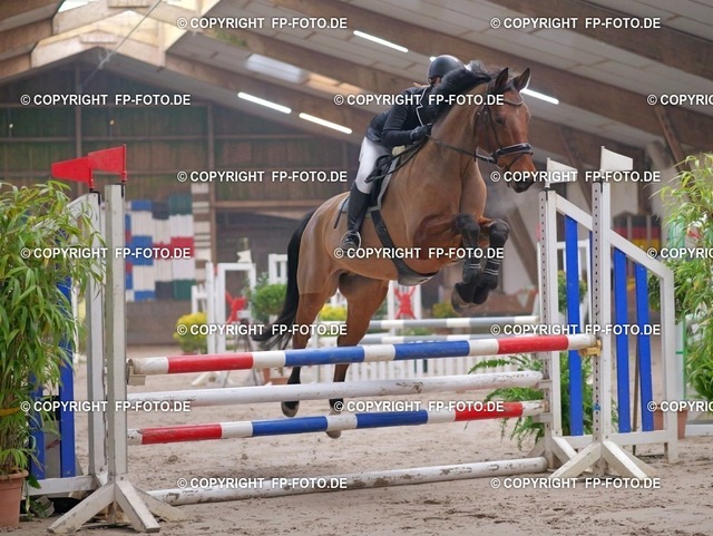 PP050291.t | FP-Foto.de - Realisiert mit Pictrs.com