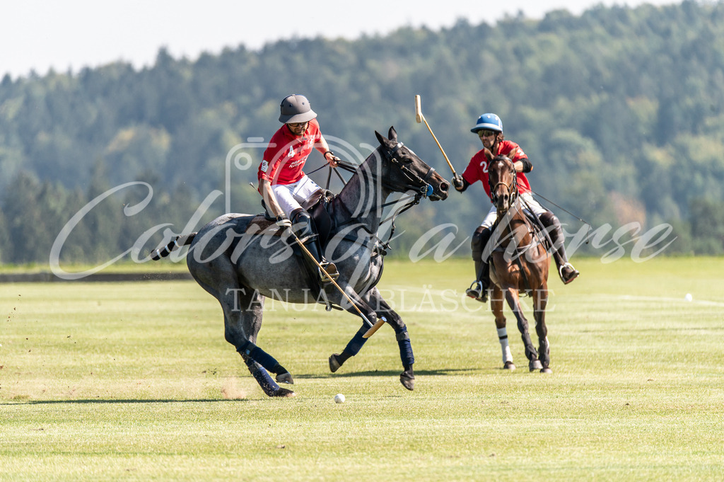 TBL_3094 | Turnierfotos von Reitturnieren in den Landkreisen Biberach, Ravensburg und in ganz Oberschwaben - von Tanja Bläschke - Colorsofahorse - Realisiert mit Pictrs.com