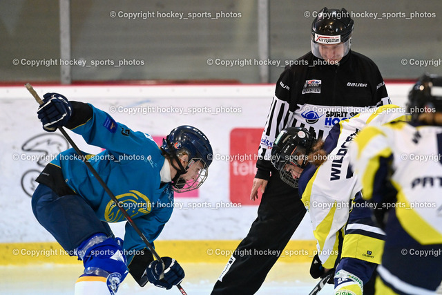 BST_6329 | hockey sports photos, Pressefotos, Sportfotos, hockey247, win 2day icehockeyleague, Handball Austria, Floorball Austria, ÖVV, Kärntner Eishockeyverband, KEHV, KFV, Kärntner Fussballverband, Österreichischer Volleyballverband, Alps Hockey League, ÖFB, 