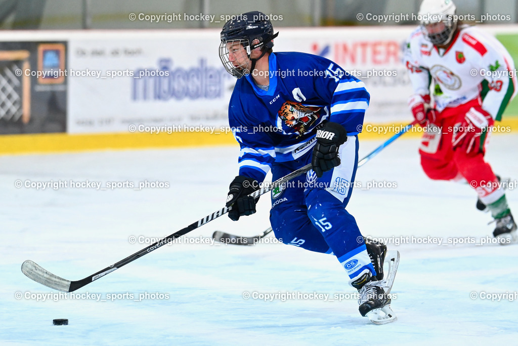 BST_9268 | hockey sports photos, Pressefotos, Sportfotos, hockey247, win 2day icehockeyleague, Handball Austria, Floorball Austria, ÖVV, Kärntner Eishockeyverband, KEHV, KFV, Kärntner Fussballverband, Österreichischer Volleyballverband, Alps Hockey League, ÖFB, 
