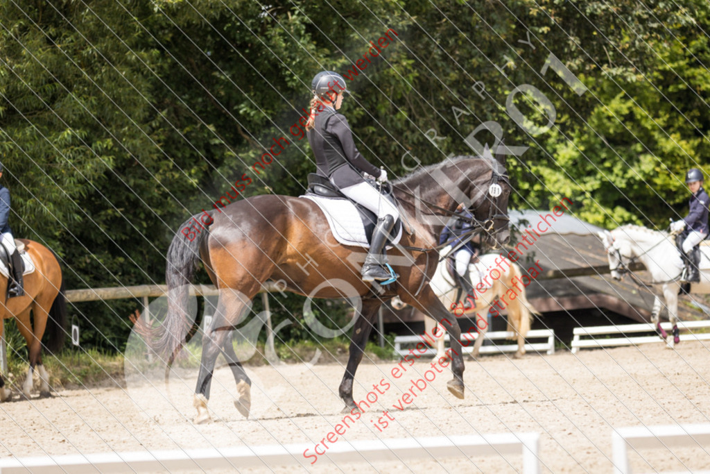 IMG_9350 | Hier findest Du viele Augenblicke aus den Bereichen der Turnier-, Sport- & Tierfotografie. Bilder mit deinem Liebling, Portrait-, Bewerbungs-, Businessbilder können ebenfalls schnell und einfach erstellt werden.