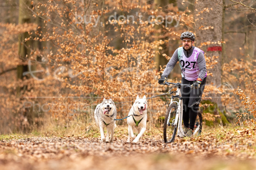 CJ8A9779 | Herzlich Willkommen im Onlineshop von tierische Augenblicke.
Viel Spaß beim aussuchen ihrer Bilder und vielen Dank für ihren Einkauf.
Viele Grüße, ihr Fotograf Stefan Grube