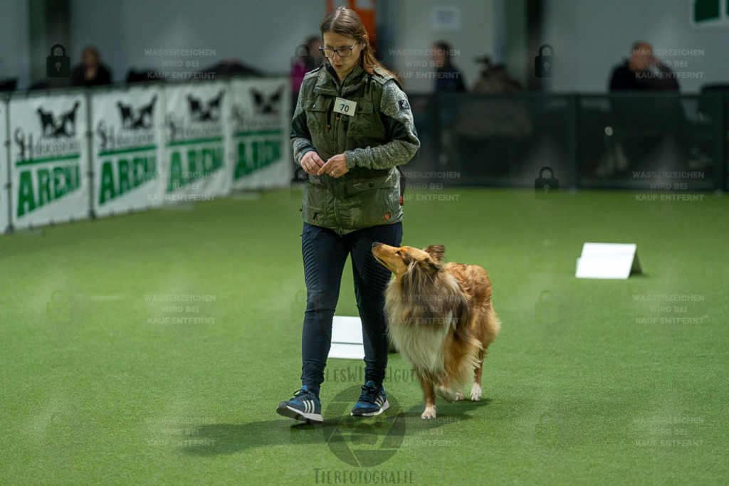 7IV01750 | Professionelle Tierfotografie in Mönchengladbach von Daniel Wirth (allesWIRTHgut). Liebevolle & natürliche Bilder von Hunden & Katzen für unvergessliche Erinnerungen.