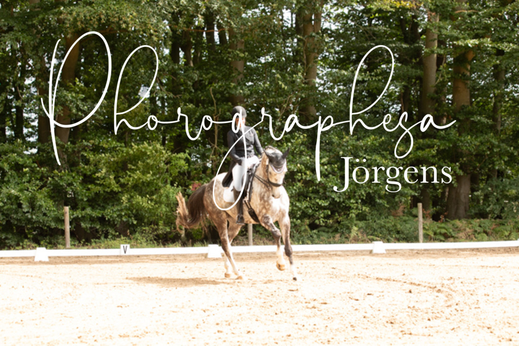 IMG_2420 | photographesa-joergens - Realisiert mit Pictrs.com