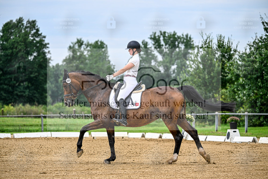 Reitturnier Hasbergen | Bilder aus dem Reitsport by Foto Oger - Domenic Schlinge - Realisiert mit Pictrs.com