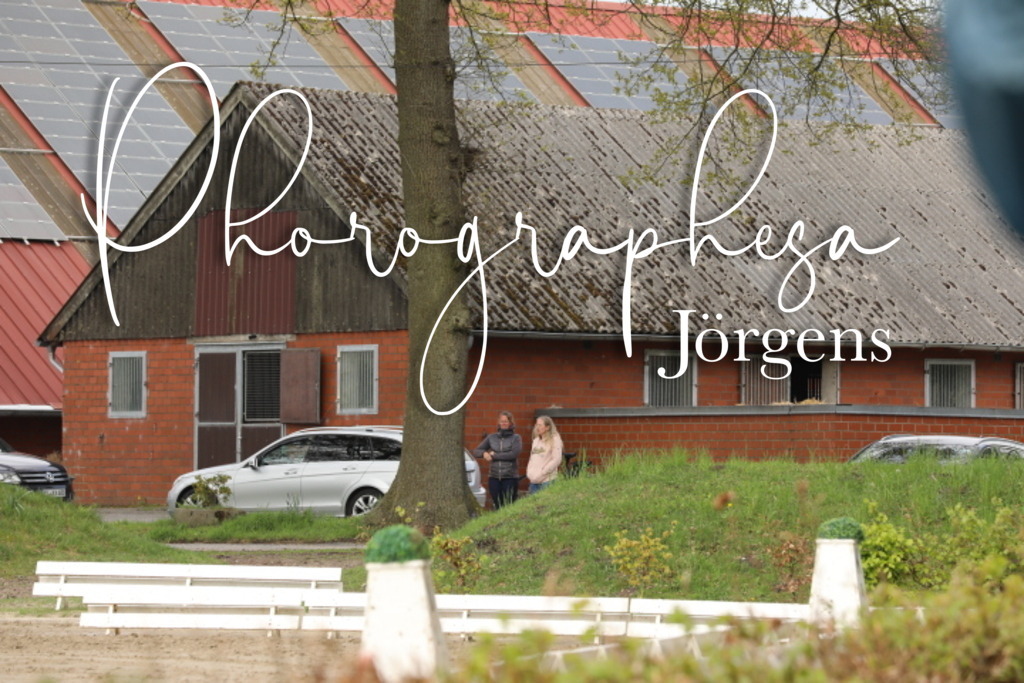 IMG_2449 | photographesa-joergens - Realisiert mit Pictrs.com