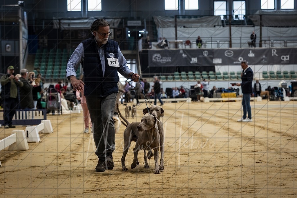 DS - Paarklasse_0036 | Markus Heber Photography