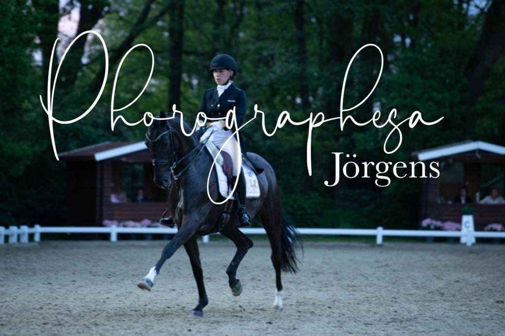 IMG_9932 | photographesa-joergens - Realisiert mit Pictrs.com