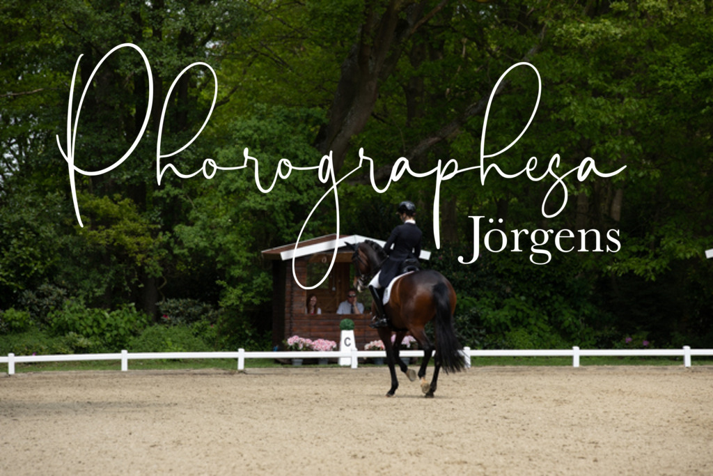 IMG_1629 | photographesa-joergens - Realisiert mit Pictrs.com