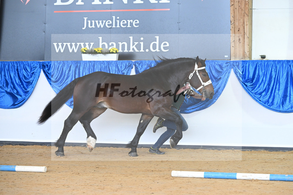 Kat-Nr. 1 nn v. Rivero_Mayr_61220006 | hf-fotografie - Realisiert mit Pictrs.com