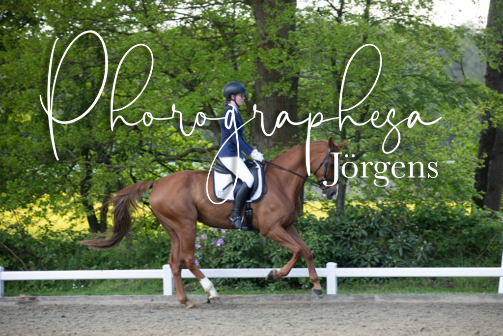 IMG_0231 | photographesa-joergens - Realisiert mit Pictrs.com