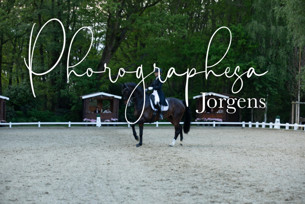 IMG_9434 | photographesa-joergens - Realisiert mit Pictrs.com