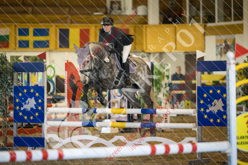 IMG_3056 | Hier findest Du viele Augenblicke aus den Bereichen der Turnier-, Sport- & Tierfotografie. Bilder mit deinem Liebling, Portrait-, Bewerbungs-, Businessbilder können ebenfalls schnell und einfach erstellt werden.