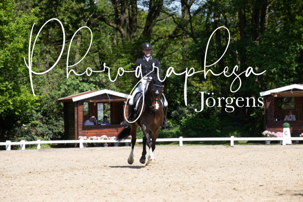 IMG_4186 | photographesa-joergens - Realisiert mit Pictrs.com