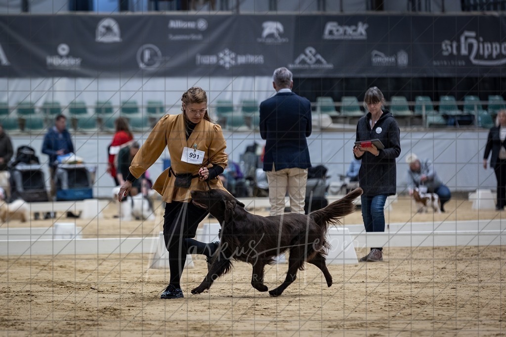 DS - FCI Gruppe 8_0058 | Markus Heber Photography